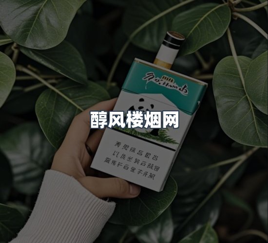 关于醇风楼烟网